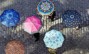 Multi Colour Printed Umbrella