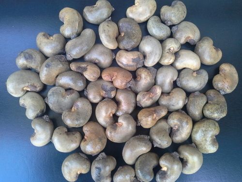 Durable Raw Cashew Nuts