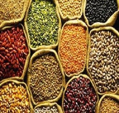 Indian Origin Pulses