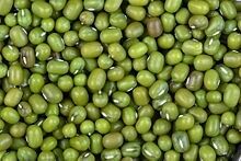 Fresh Green Mung Beans