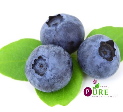 Natural Fresh Blueberry Extract