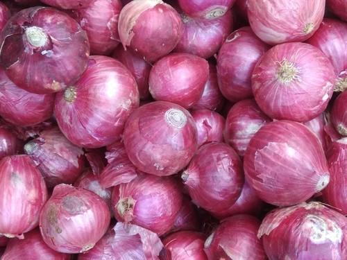 Fresh And Healthy Red Onion