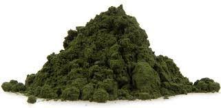 Fresh Soft Spirulina Powder