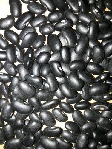 High Quality Black Beans