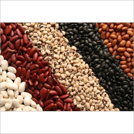 Red And White Kidney Beans