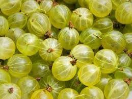 Fresh Indian Gooseberry Fruit