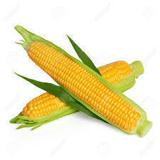 Organic Tasty Sweet Corn