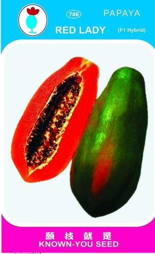 Red Lady F1 Hybrid Papaya Seeds Purity: 99.9%