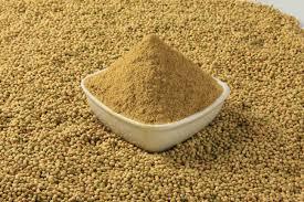 Well-known Widely Used Coriander Powder