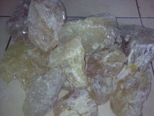 Gum Copal Medium Chips