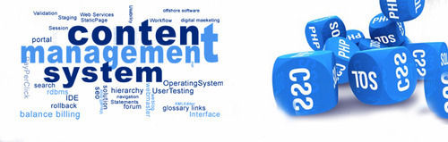 CMS Development Service