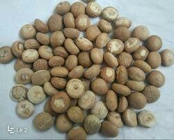 Dried Organic Betel Nuts