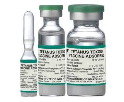 Tetanus Toxoid Adsorbed USP