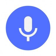 Voice SMS Services