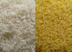 High Nutrition Silver Gold Rice