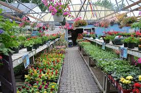 Plant Nursery For Greenhouse