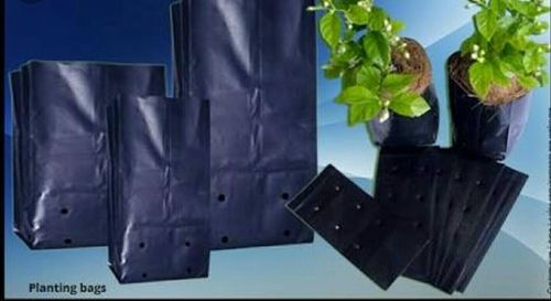 Black Color Poly Bags