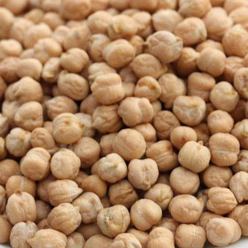 Long Shelf Life Kabuli Chickpeas