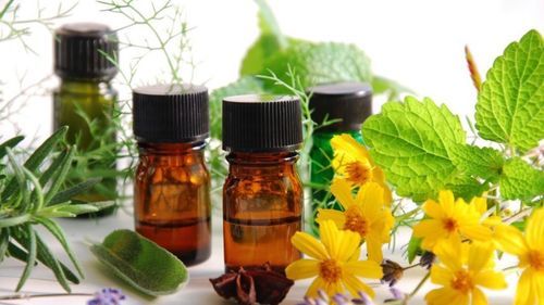 Top Great Quality Herbal Oil 