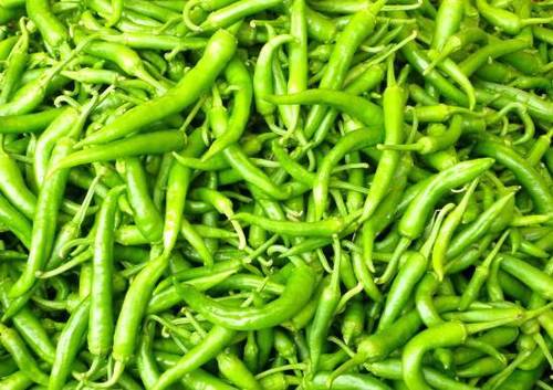 Fresh Packaged Green Chilies 