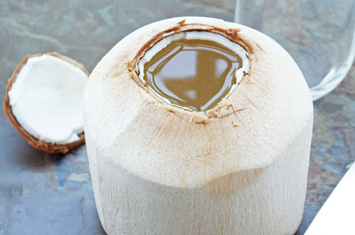 Natural Tender Coconut Water