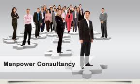 Professional Manpower Consultancy Services