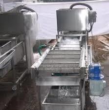 Vegetable Washer