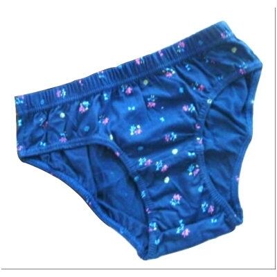 Ladies Printed Cotton Panty at Best Price in Lucknow