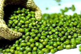 Fresh Green Gram Pulses