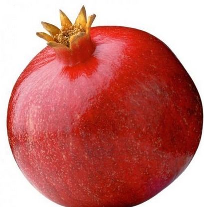 Best Quality Fresh Pomegranate Fruit