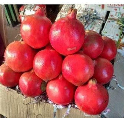 Highly Demanded Fresh Pomegranate