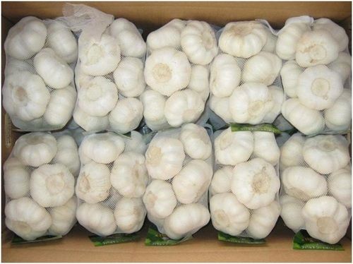 Normal White Garlic - Fresh Bulbs | Antiviral, Antibacterial, and Antifungal Properties, Flavor Enhancer