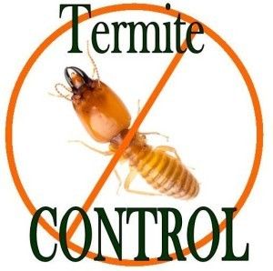 Termite Control Services By Pest Care Solution