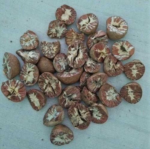 100% Natural Betel Nut