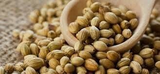 100% Organic Dry Coriander Seed