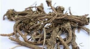 Pure Anacyclus Pyrethrum Root