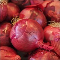 Fresh Pure Red Onion