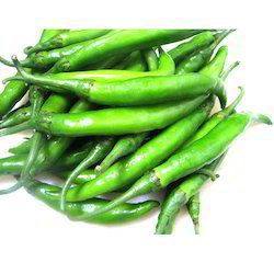 100% Fresh Green Chilli