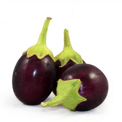 100% Natural Fresh Brinjal