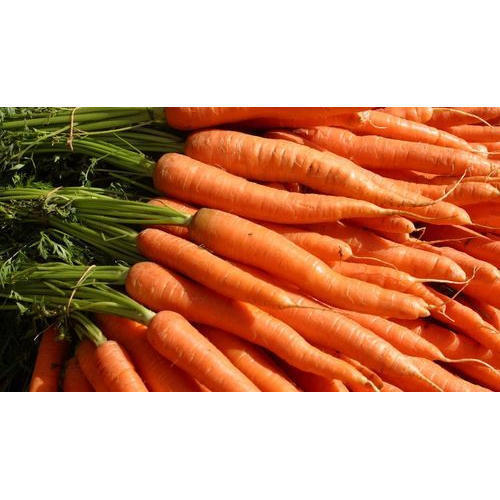 100% Natural Fresh Carrot