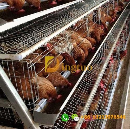 Hot Galvanized 4 Tiers Of 120 Birds Layer Chicken Cage