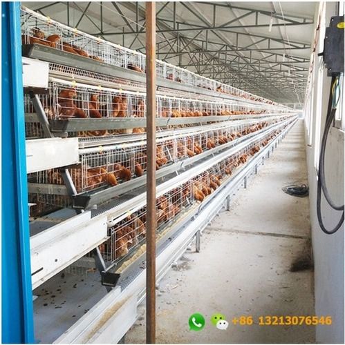 poultry cages