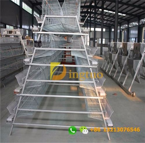 poultry cages