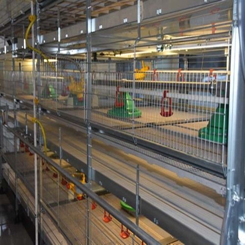 Hot Galvanized Durable Broiler Chicken Cage