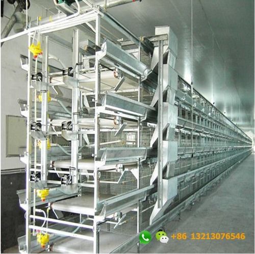 H Type Automatic Layer Chicken Cage