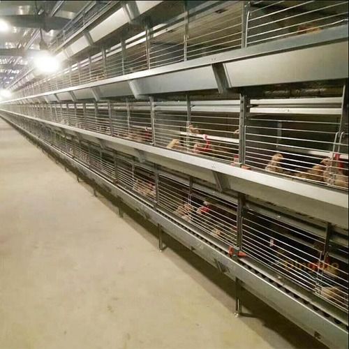 Hot Galvanized Pullet Chicken Cage