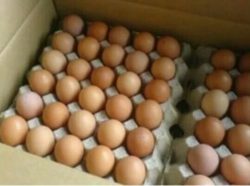 SS Country Chicken Eggs