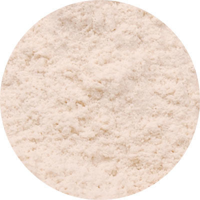 White Onion Powder