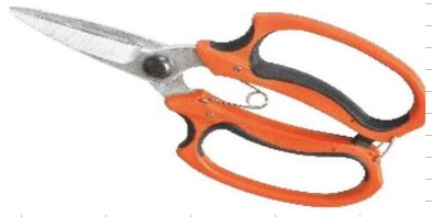 Falcon Bonsai Cutter (T-50)