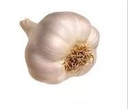 High Grade Nutritious Garlic Bulb